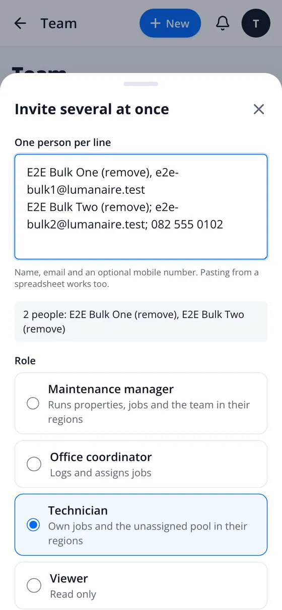 Invite several at once: one person per line, then the role
